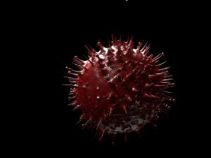 corona virus 3D Model