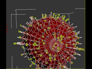corona virus 3D-Modell