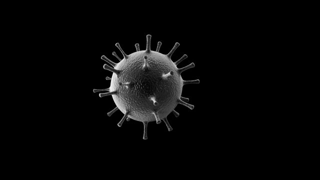 corona virus 3D Model .c4d .max .obj .3ds .fbx .stl .blend 