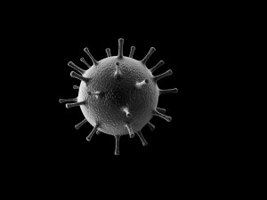 corona virus 3D Модель