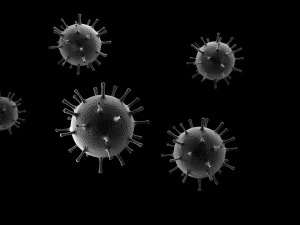 corona virus 3D Model