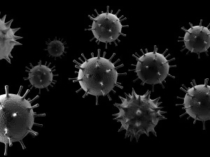 corona virus 3D Model