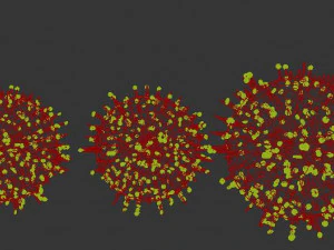 coronav&iacute;rus Modelo 3D