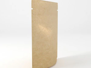 paper bag 3D Model