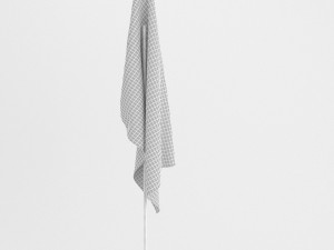 democratic party flag 3D Model