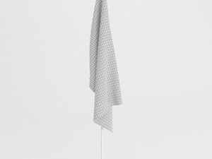 republican party flag 3D-Modell