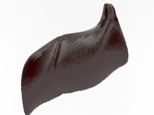 human internal organs Modello 3D