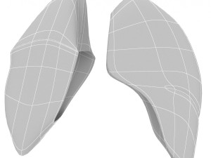 human internal organs Modello 3D