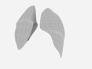 human internal organs Modello 3D