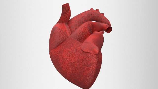 human heart 3D-Modell .c4d .max .obj .3ds .fbx .stl .blend 