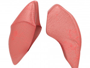 human healthy lungs 3D Модель