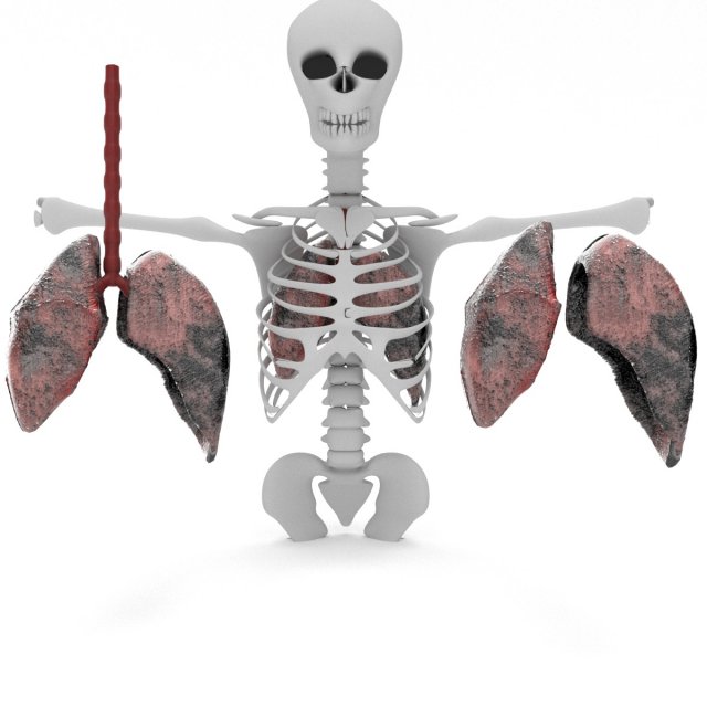 smoker lungs Modèle 3D .c4d .max .obj .3ds .fbx .stl .blend 