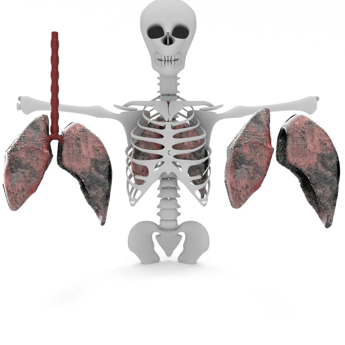 smoker lungs 3D Model .c4d .max .obj .3ds .fbx .stl .blend