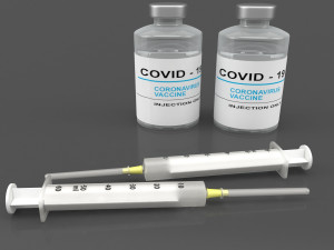 corona vaccine 3D Model