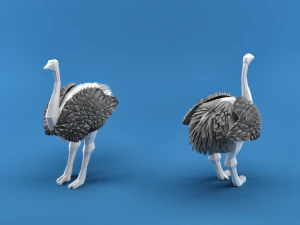 animals africa edition 3D Model