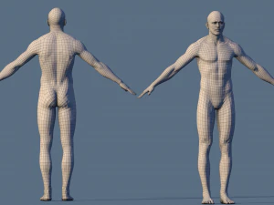 base character male 3D Model