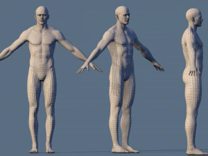 base character male 3D Model