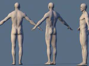 base character male 3D Model