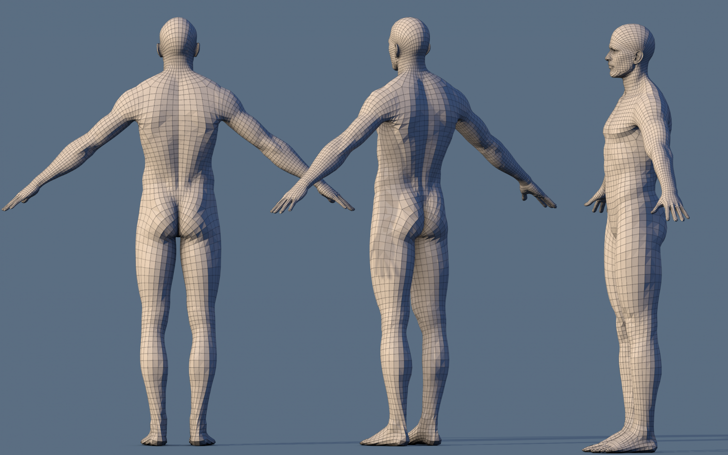 Character based. 3d model мужчины. Male character Base Mesh. Male character Base