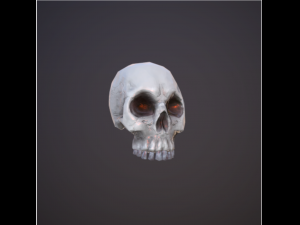 skull 3D Model