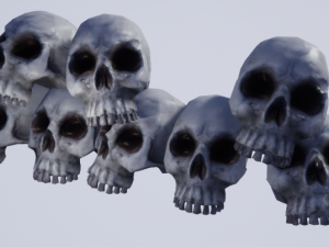 skull Model 3D