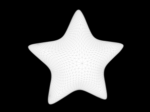 star model 3D Model