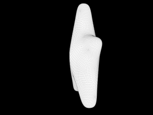 star model 3D Model