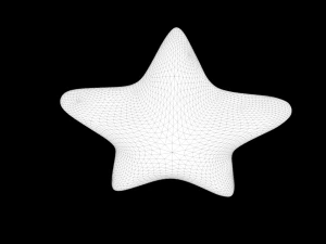 star model 3D Model