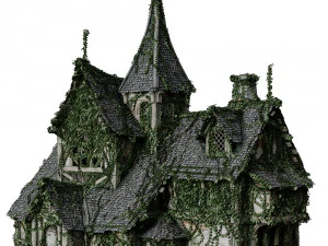 酒馆常春藤 3D 模型