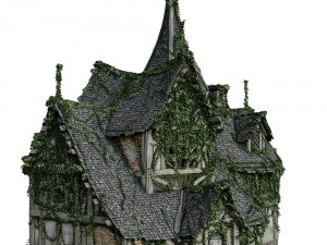 tavern ivy 3D मॉडल