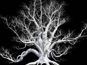 live oak 3D Model