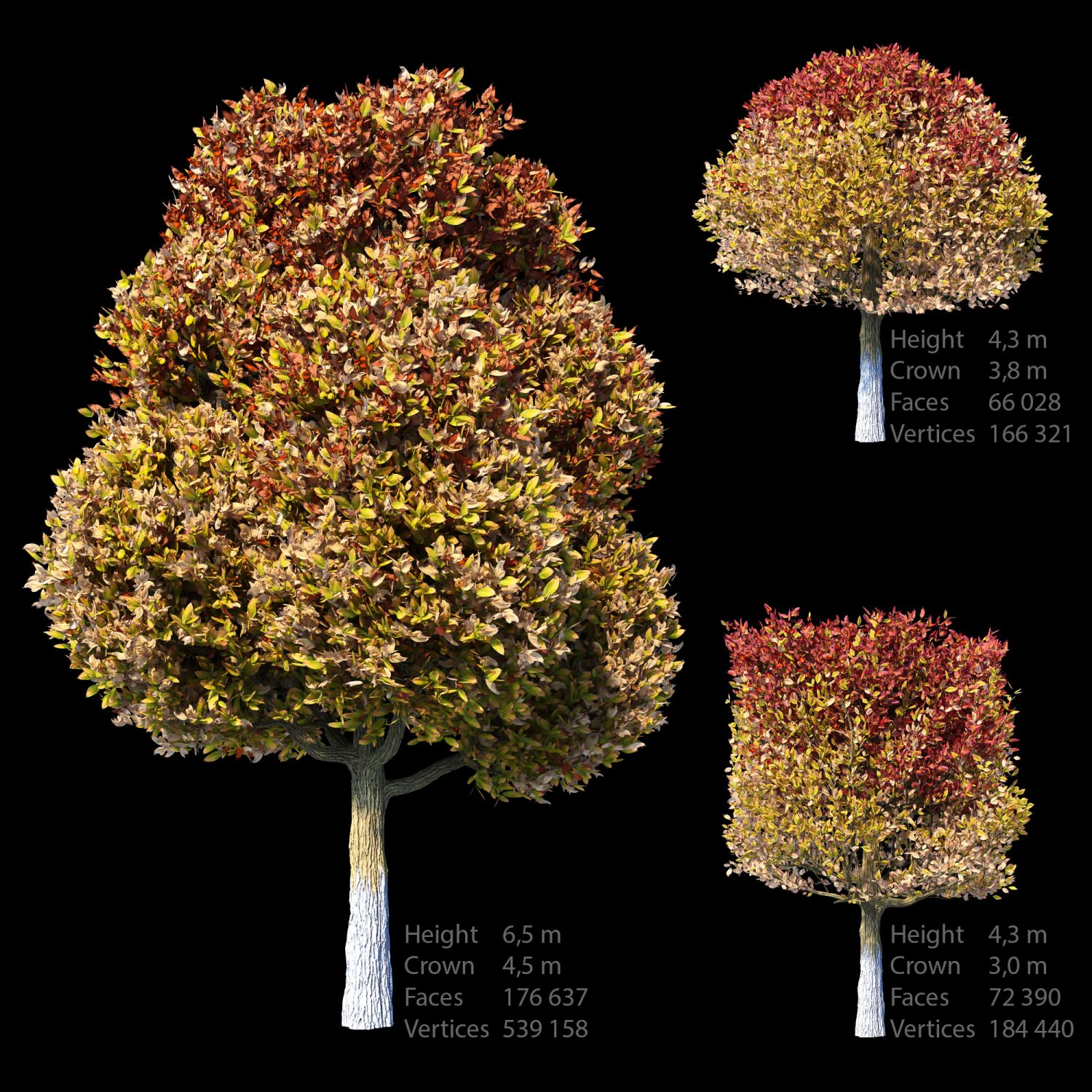 autumn set 3D Model .c4d .max .obj .3ds .fbx .stl .blend 