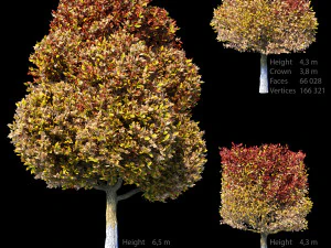 秋セット 3Dモデル