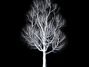 autumn set Model 3D