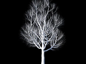 autumn set 3D Model