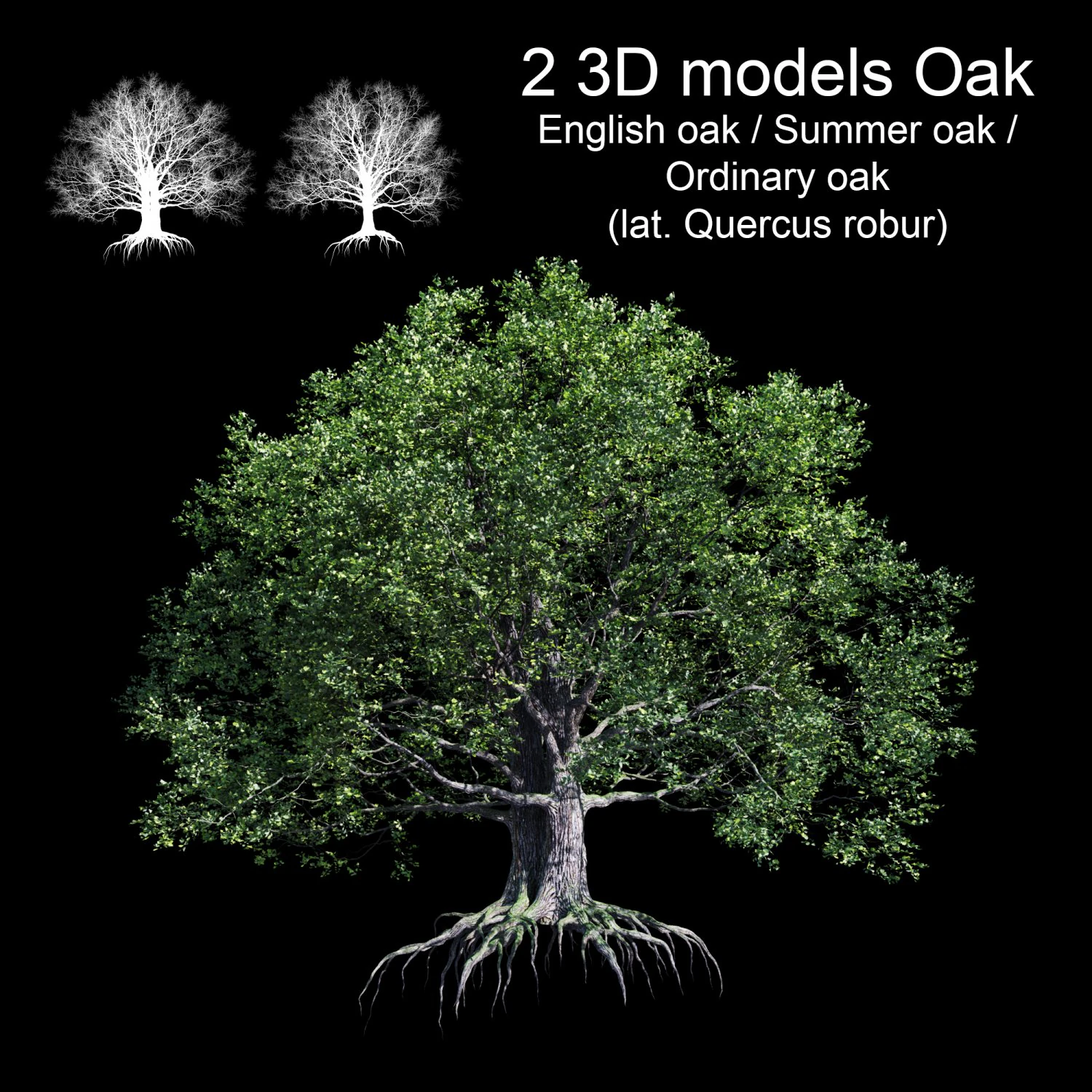 carvalho Modelo 3D .c4d .max .obj .3ds .fbx .stl .blend 