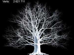 oak Model 3D