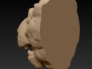 lion head 3d print model 3D-Druckmodell