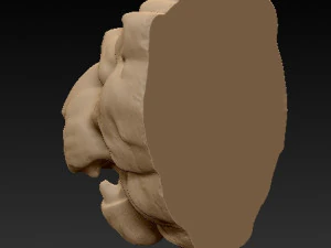 lion head 3d print model 3D Print Model