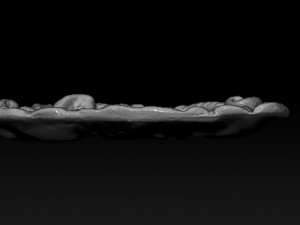 wild boar ashtry 3D Принт Модель
