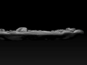 wild boar ashtry 3D Print Model