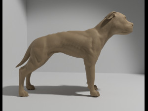 pitbull 3D Print Model