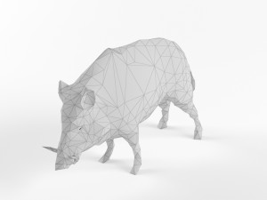 low poly bear wolf boar wild mammal animal set pack lowpoly low-poly 3D Модель