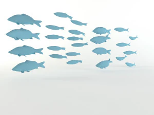 fish flock lowpoly sealife bass pollad plaice pouting fishes low-poly 3D Model