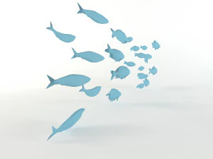 fish flock lowpoly sealife bass pollad plaice pouting fishes low-poly 3D Model
