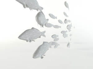 fish flock lowpoly sealife bass pollad plaice pouting fishes low-poly Modelo 3D