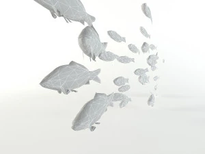 fish flock lowpoly sealife bass pollad plaice pouting fishes low-poly 3D Model