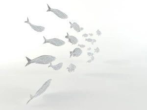 fish flock lowpoly sealife bass pollad plaice pouting fishes low-poly 3D Model