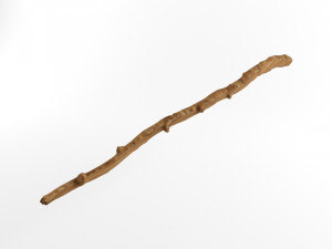 wooden stick branch staff low poly game ready asset low-poly 3D 모델