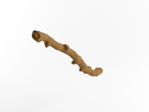 wooden stick branch staff low poly game ready asset low-poly 3D मॉडल